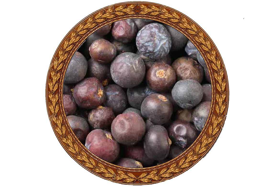 Juniper Berries Dried
